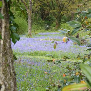 Teignworthy to Grimspound