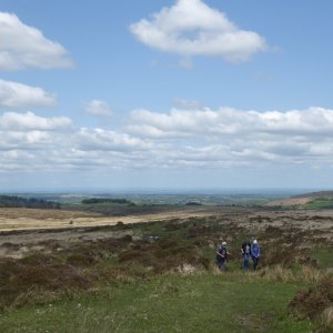 Teignworthy to Grimspound