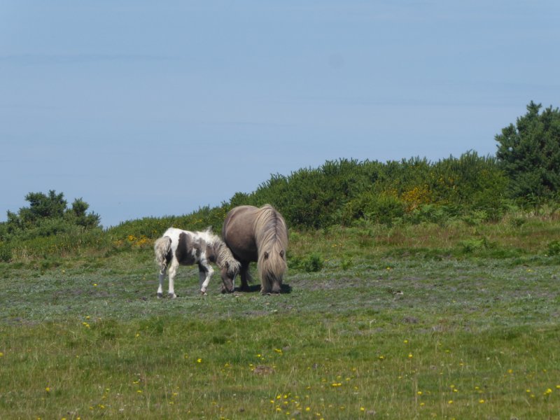 phoca thumb l rco 20240730 133739 tz70a.resized