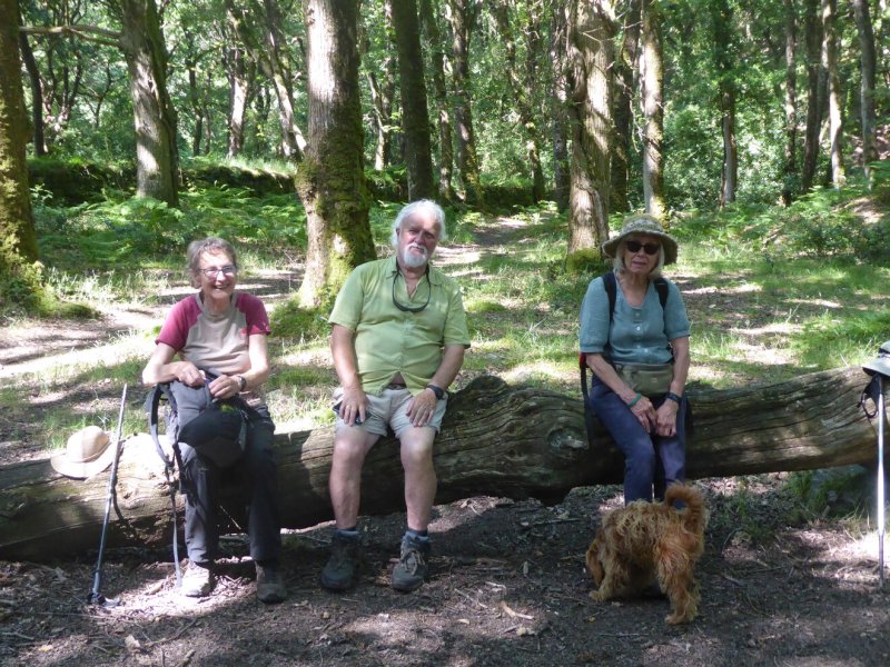 phoca thumb m rco 20240730 153111 tz70a.resized