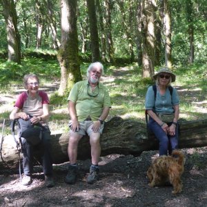 East Okement Valley 08